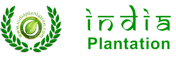 India Plantation